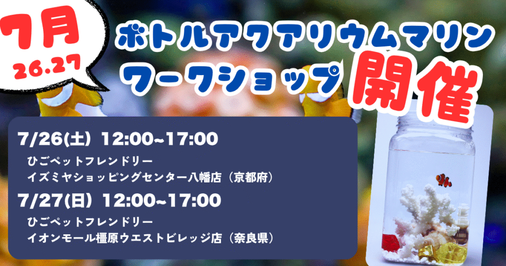 ☆7月下旬のワークショップ情報☆ボトルアクアリウムマリン ワーク  