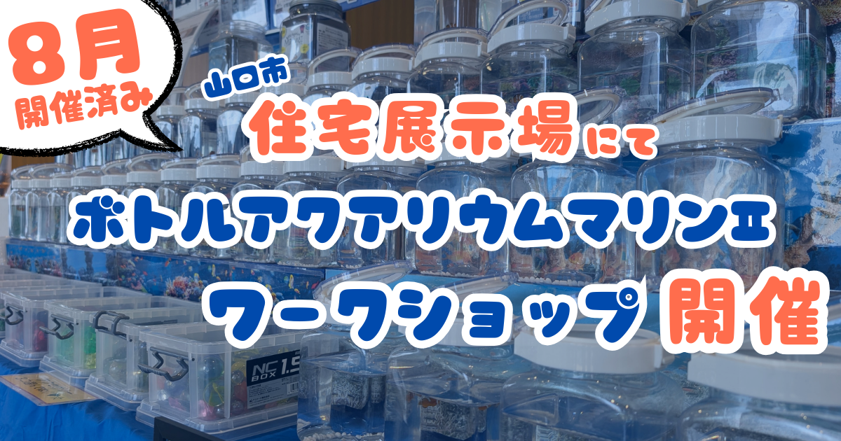 ☆8月3日住宅展示場にて！☆ご来場者の方々にボトルアクアリウムマリン 